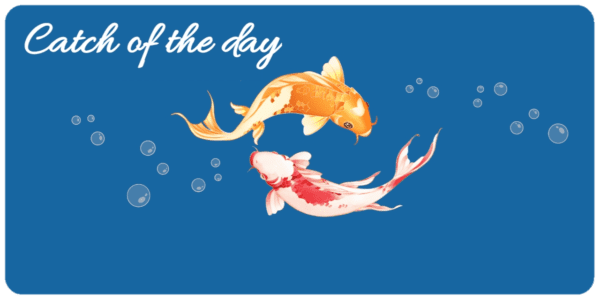 Fish cut home delivery in Bengaluru 