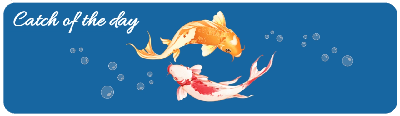 fish shop near me