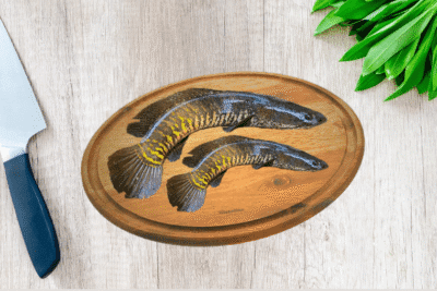 Snakehead Fish / Murrel / Mural / Vaaral / Viral Meen / Xol / Kannan / Koramenu | Fresh curry cut