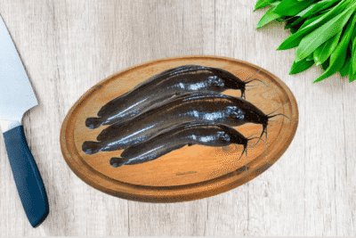 Stinging Catfish / Singhi / Air-breathing catfish  | Fresh cut