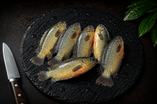 River water local fish | Fresh kawai, koi fish fresh cut - 300 grams