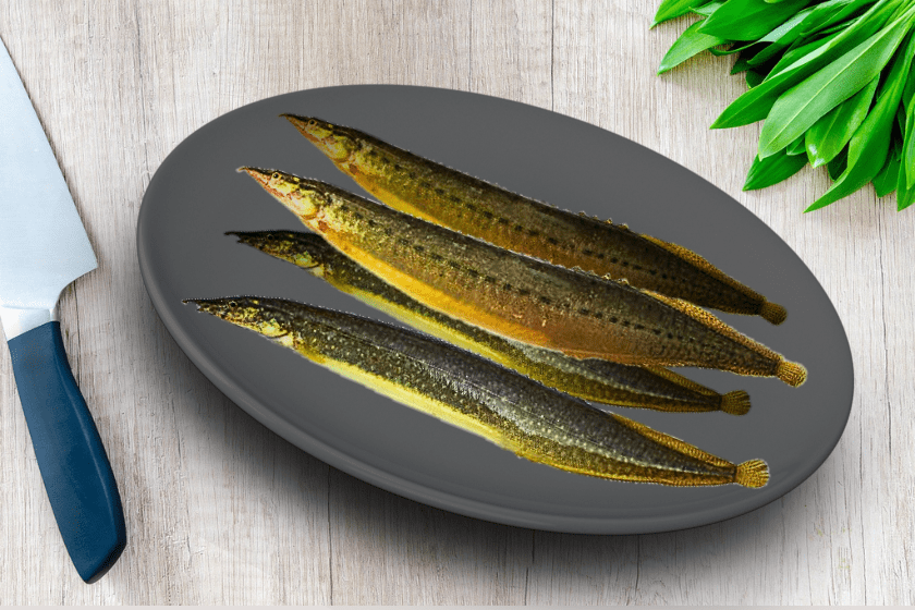 Tura/Goichi fish online