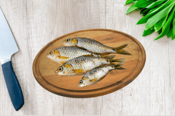 Pool barb | Puti mass Bangalore