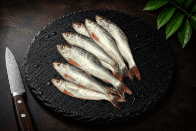Minor carp | Labeo Bata | Bhangan fish | ಬಾಟ ಮೀನು| Small fish