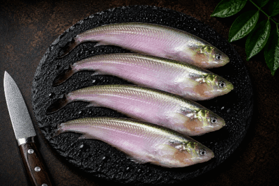 Local Pabho/Pabda/Pavda Fish | Big Size