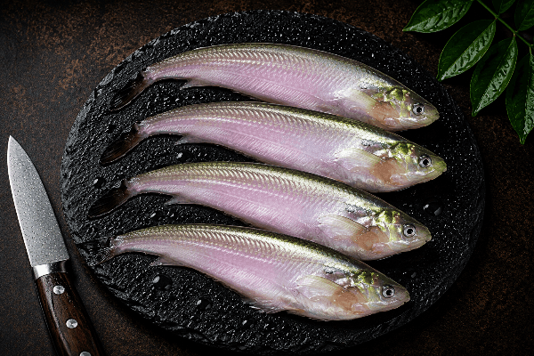 Local Pabho/Pabda/Pavda Fish | Big Size - 500 grams