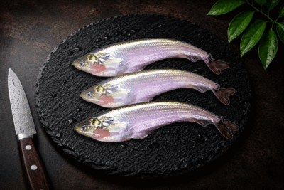 Local Pabho/Pabda/Pavda Fish