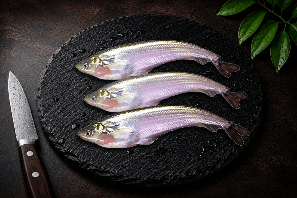 Local Pabho/Pabda/Pavda Fish - 300 grams