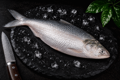 Fresh Ilish | 1 Kg