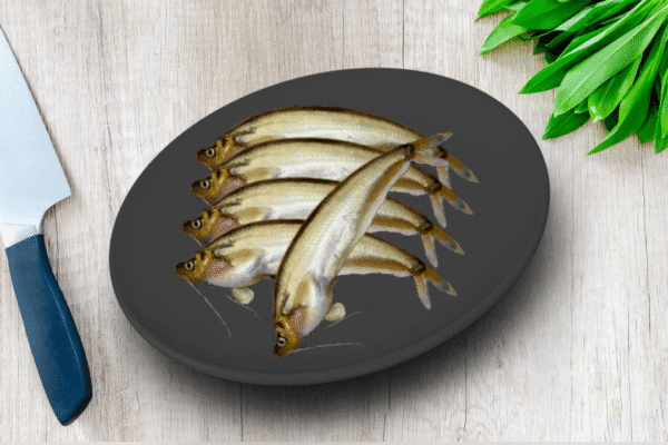 Pabho | Pabda | Pavda fish