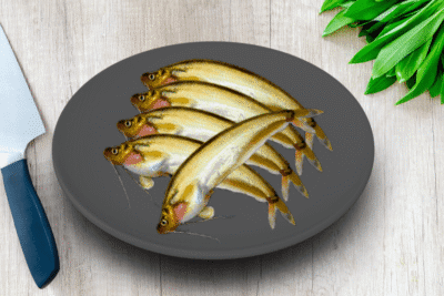 Local Pabho/Pabda/Pavda Fish