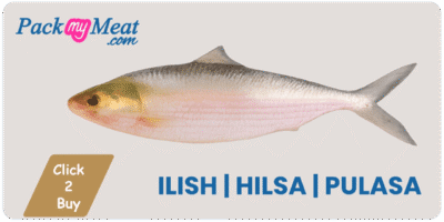 Ilish | Hilsa | Pulasa | Palva