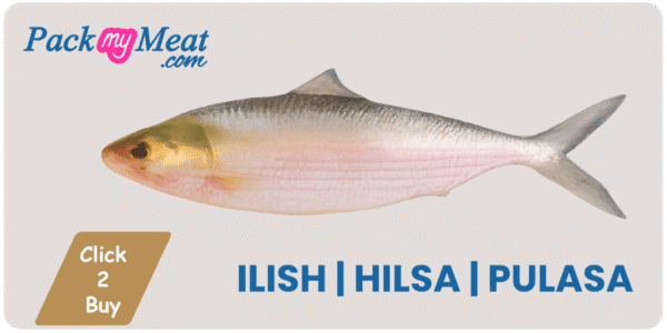 Ilish fish | Pulasa | Hilsa