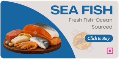 Sea Fish