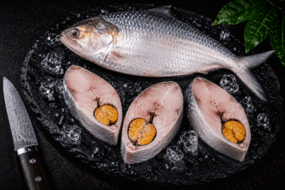 Ilish /Hilsa Fish | Round cut with Roe (Eggs bearing slices)