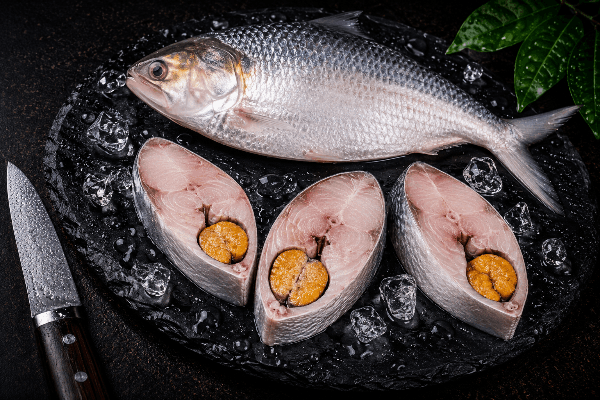 Ilish /Hilsa Fish | Round cut with Roe (Eggs bearing slices)