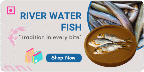 River water fish 