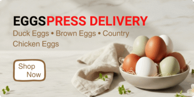 Eggs
