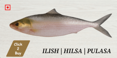 Ilish | Hilsa | Pulasa | Palva