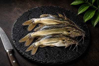 River water local fish | Mystus, Tengra fish