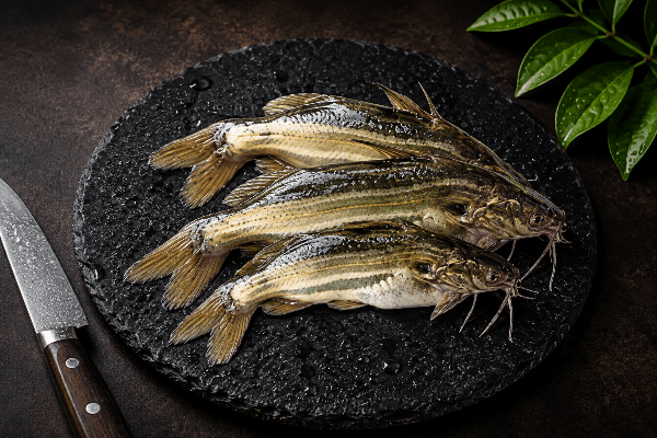 River water local fish | Mystus, Tengra fish - 300 grams